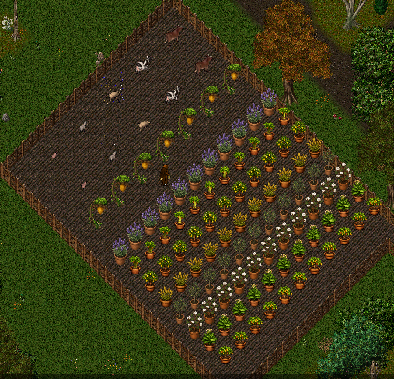A town farm packed with crop pots and livestock