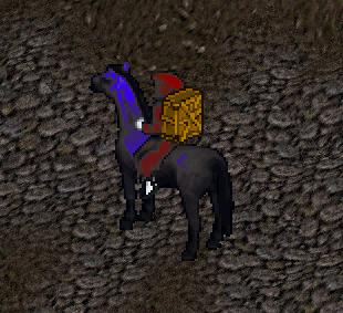 A player carrying a trade pack on their back